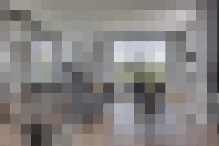 Cuneraweg 231 Rhenen thumbnail 8