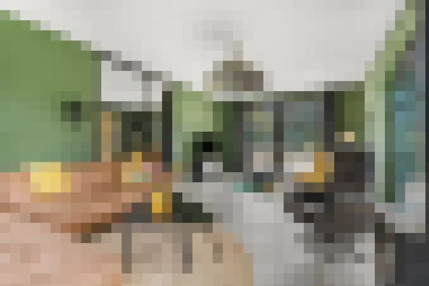 Cuneraweg 307 Rhenen thumbnail 15