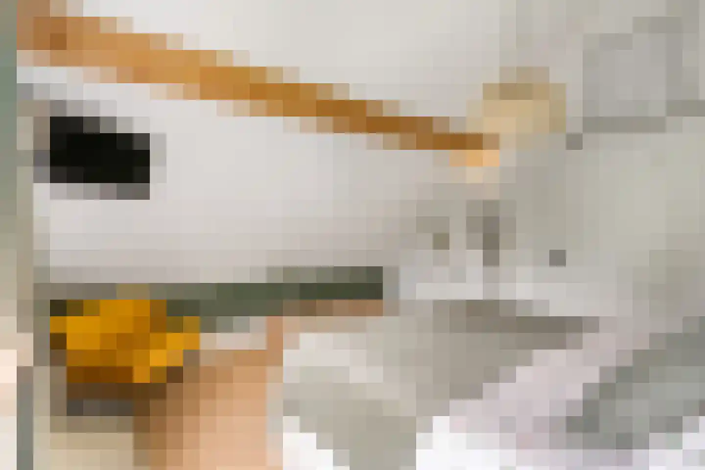 Cuneraweg 307 Rhenen thumbnail 33