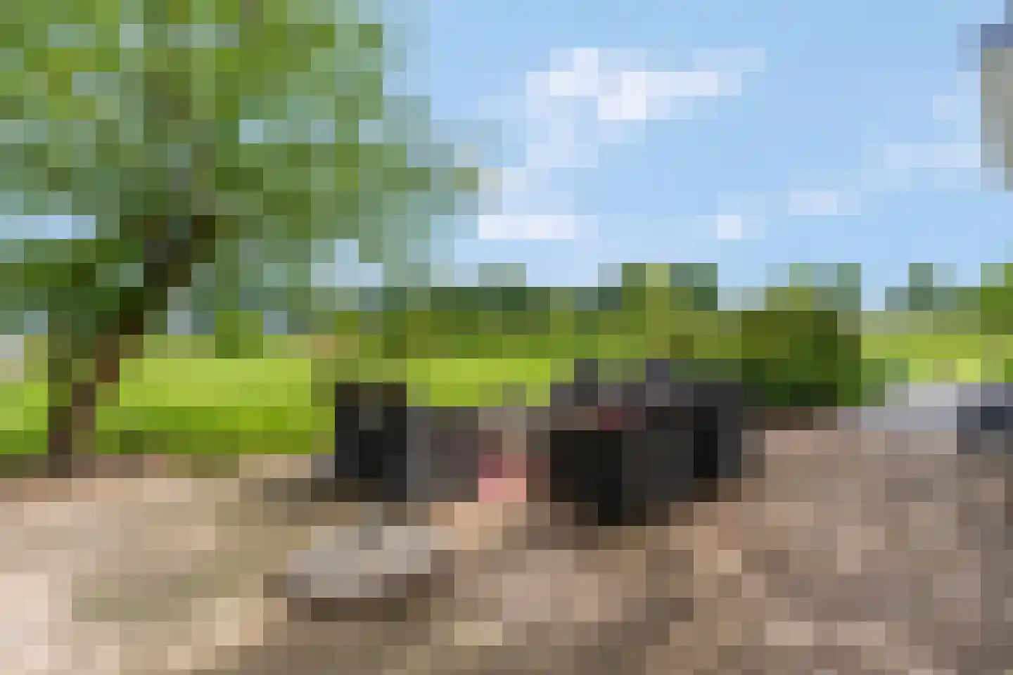 Cuneraweg 307 Rhenen thumbnail 44