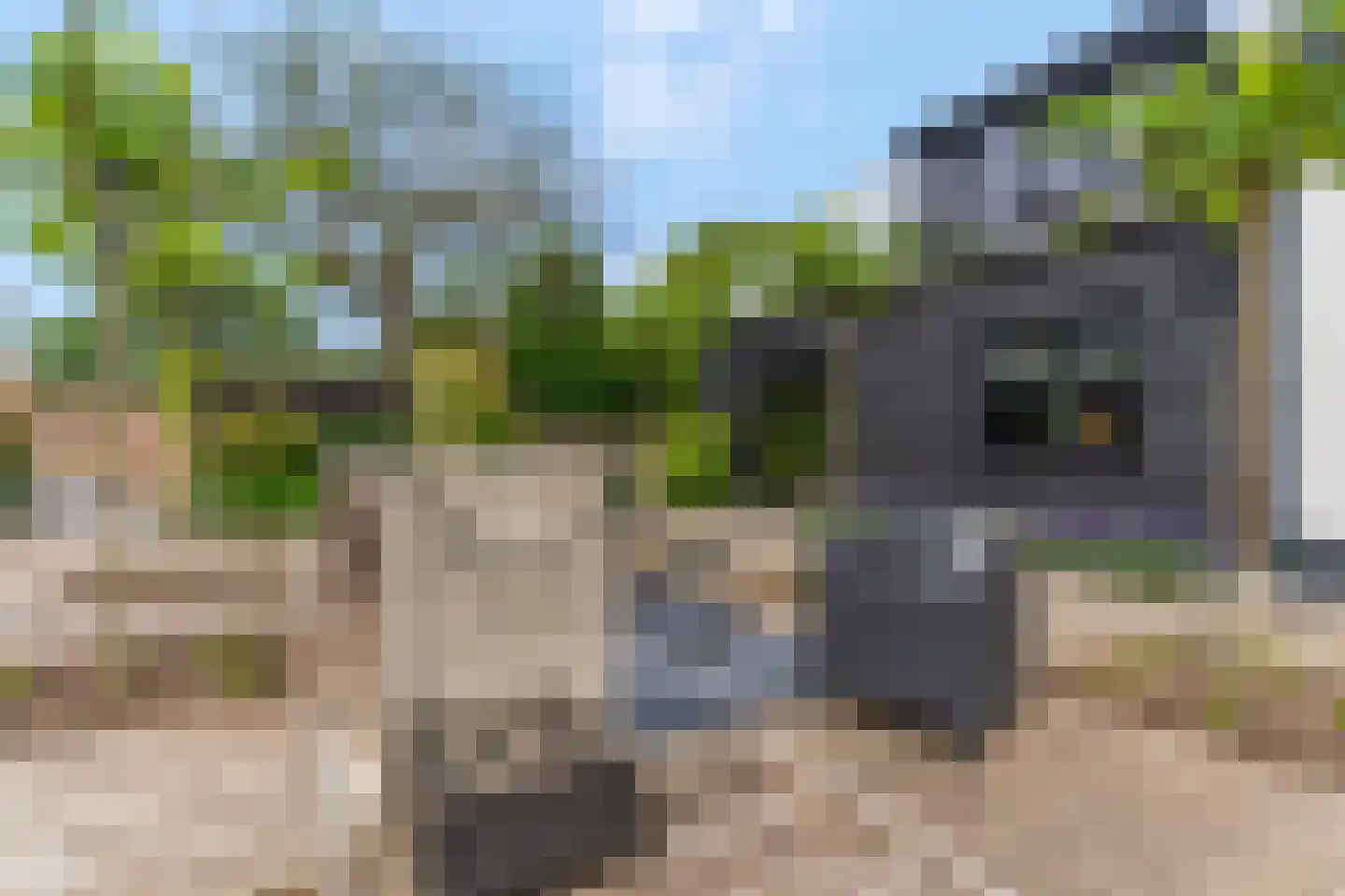 Cuneraweg 307 Rhenen thumbnail 46