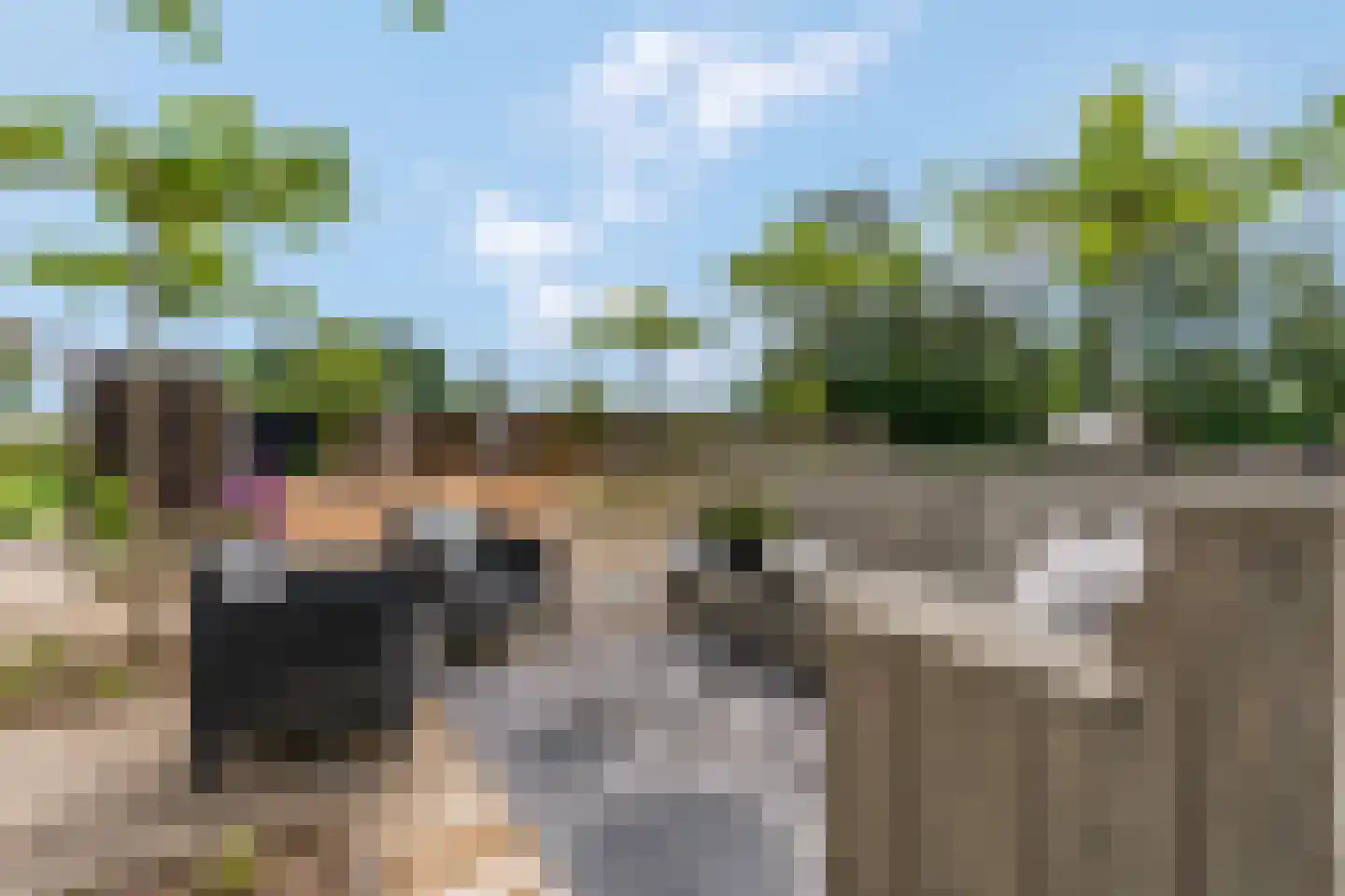 Cuneraweg 307 Rhenen thumbnail 49