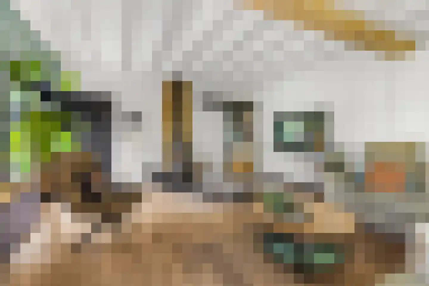 Cuneraweg 339 Rhenen thumbnail 12