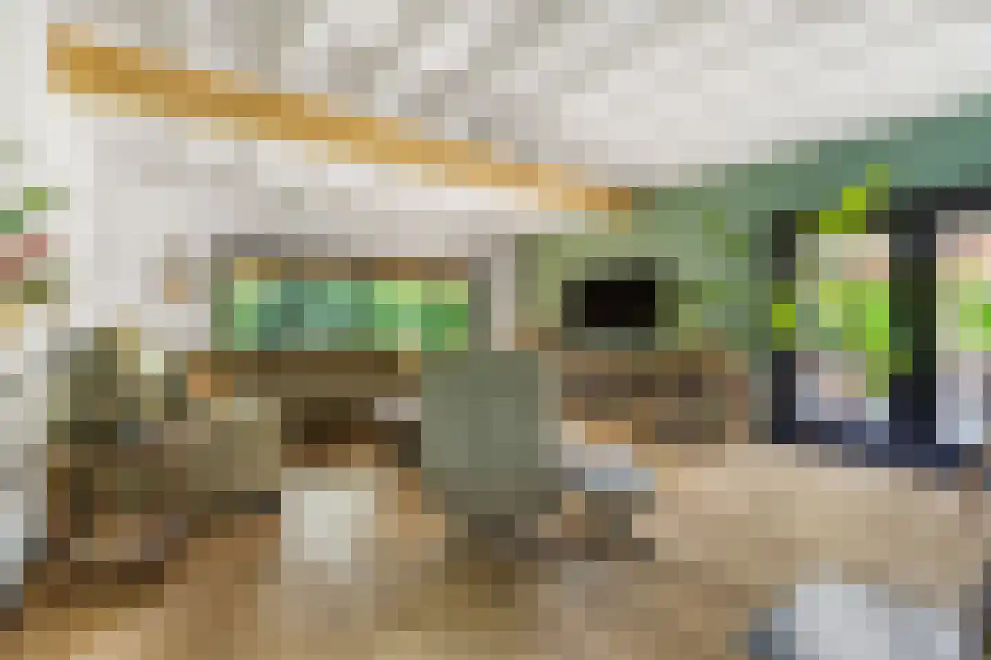 Cuneraweg 339 Rhenen thumbnail 13