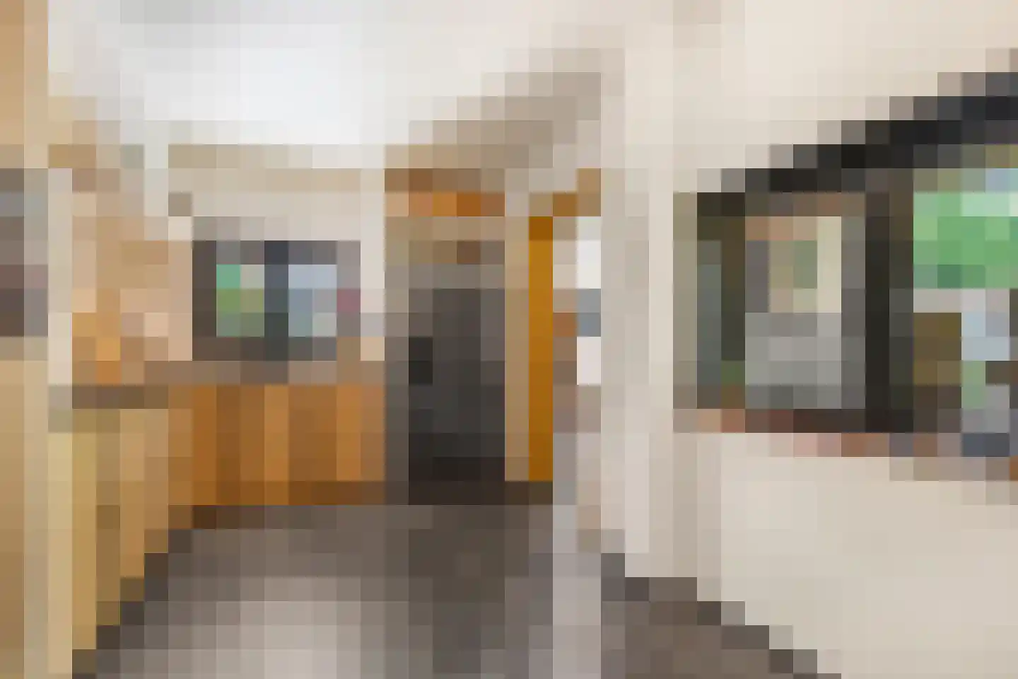 Cuneraweg 339 Rhenen thumbnail 16