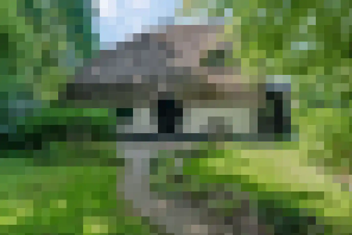 Cuneraweg 339 Rhenen foto 2