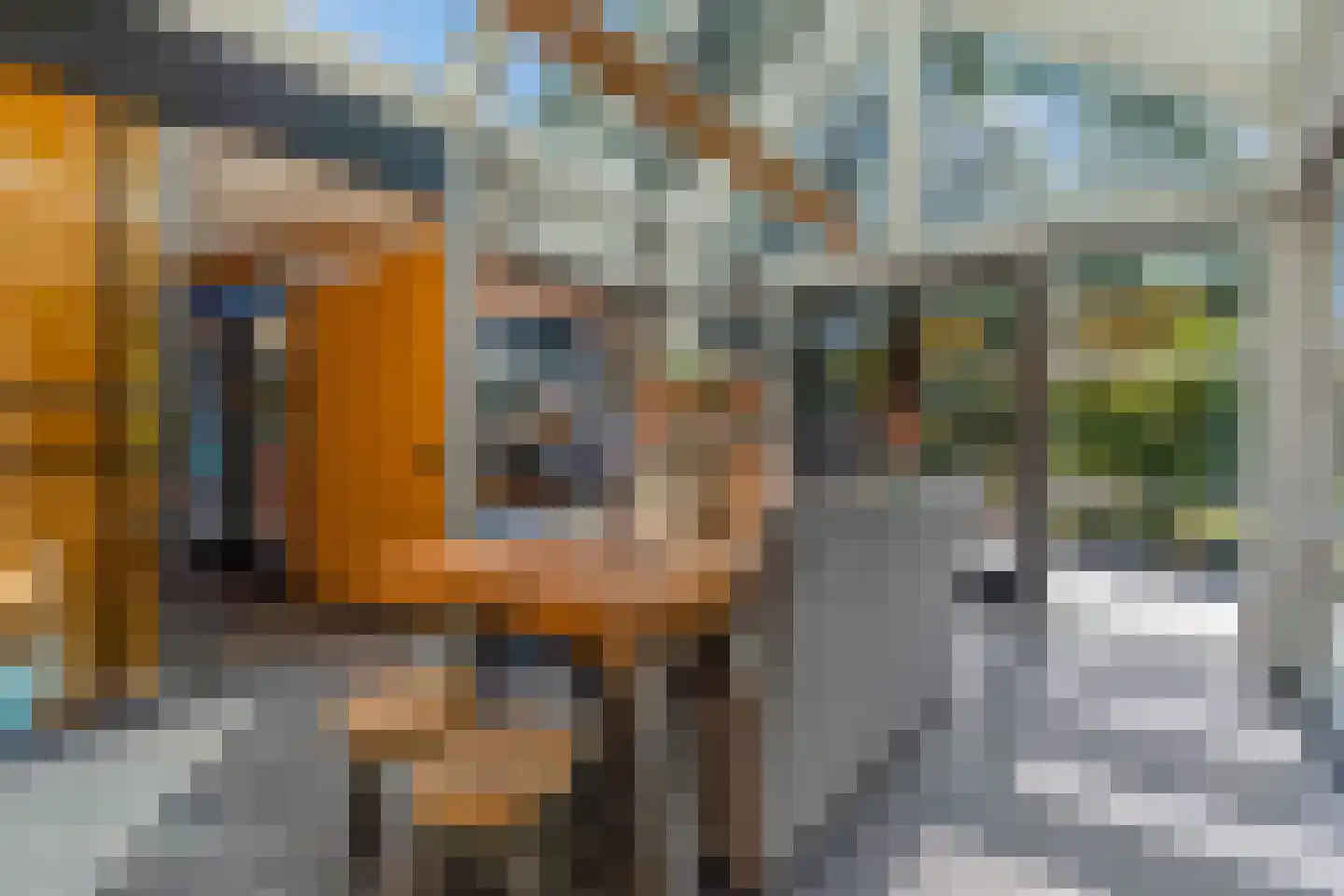 Cuneraweg 339 Rhenen thumbnail 22