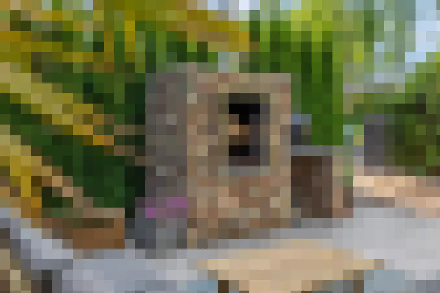 Cuneraweg 339 Rhenen thumbnail 33