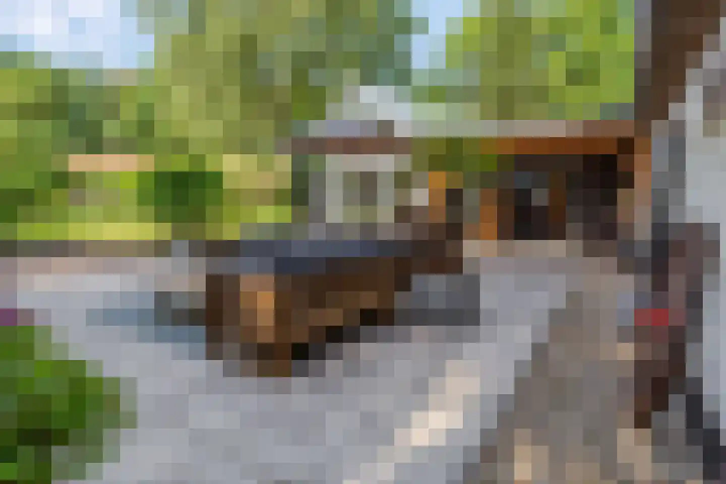 Cuneraweg 339 Rhenen thumbnail 34