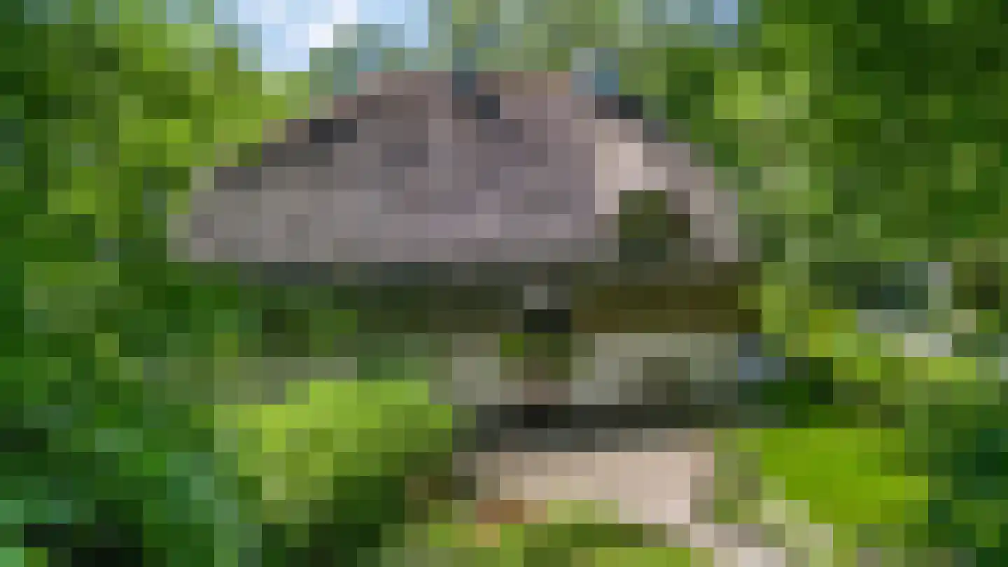 Cuneraweg 339 Rhenen thumbnail 44