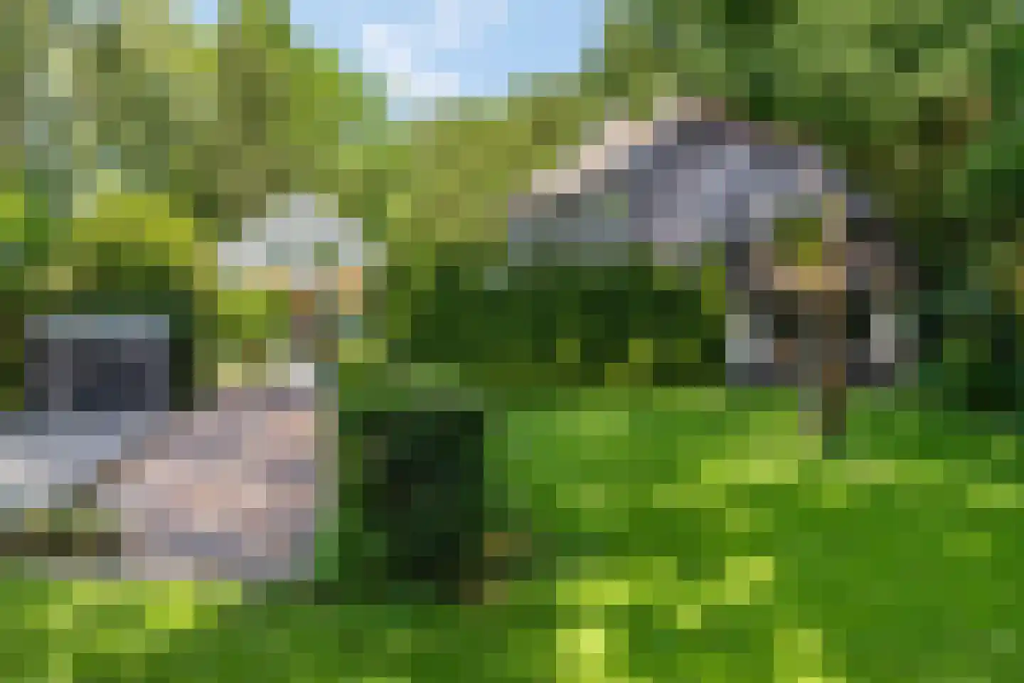 Cuneraweg 339 Rhenen thumbnail 45