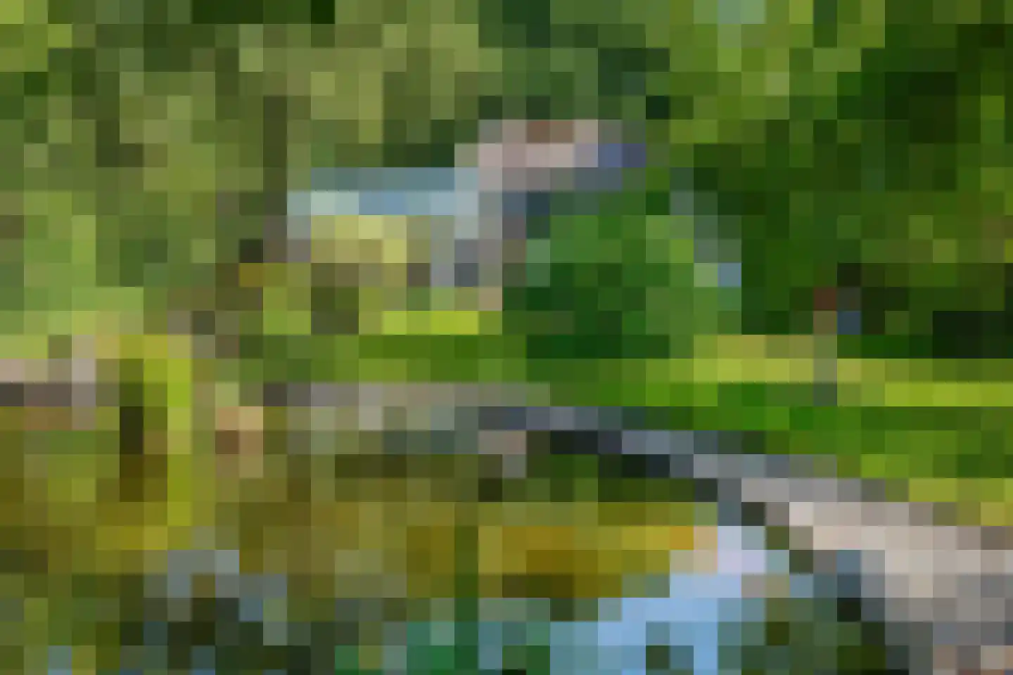 Cuneraweg 339 Rhenen thumbnail 46