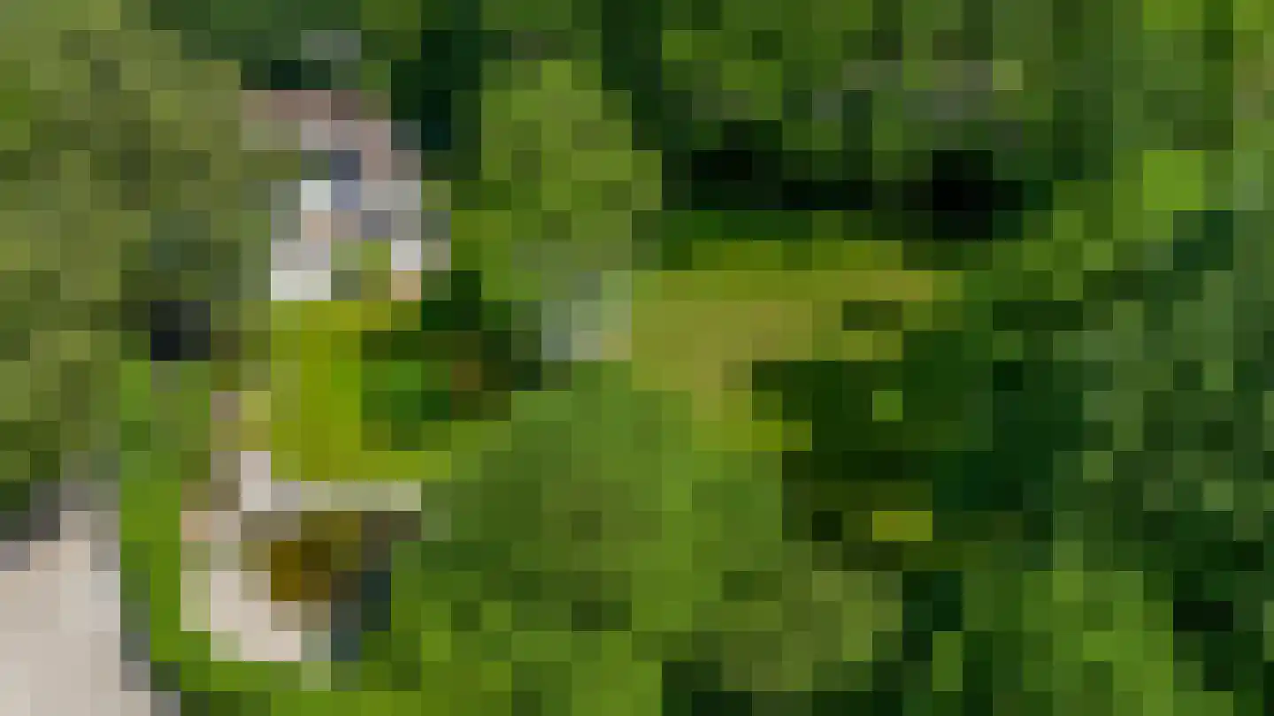 Cuneraweg 339 Rhenen thumbnail 47