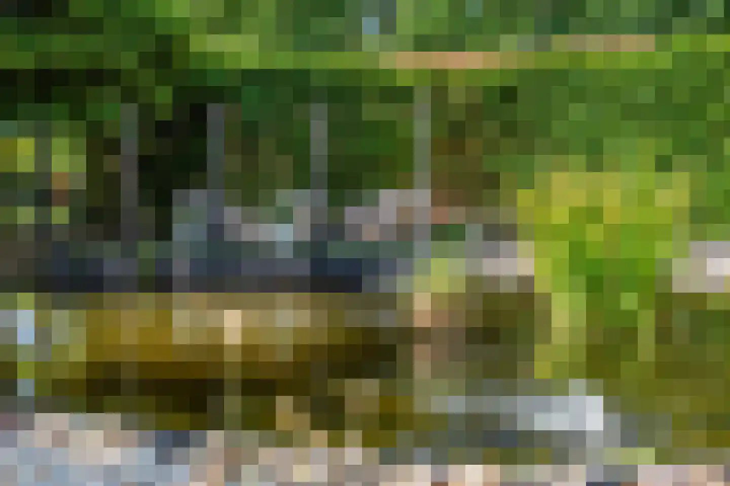 Cuneraweg 339 Rhenen thumbnail 48