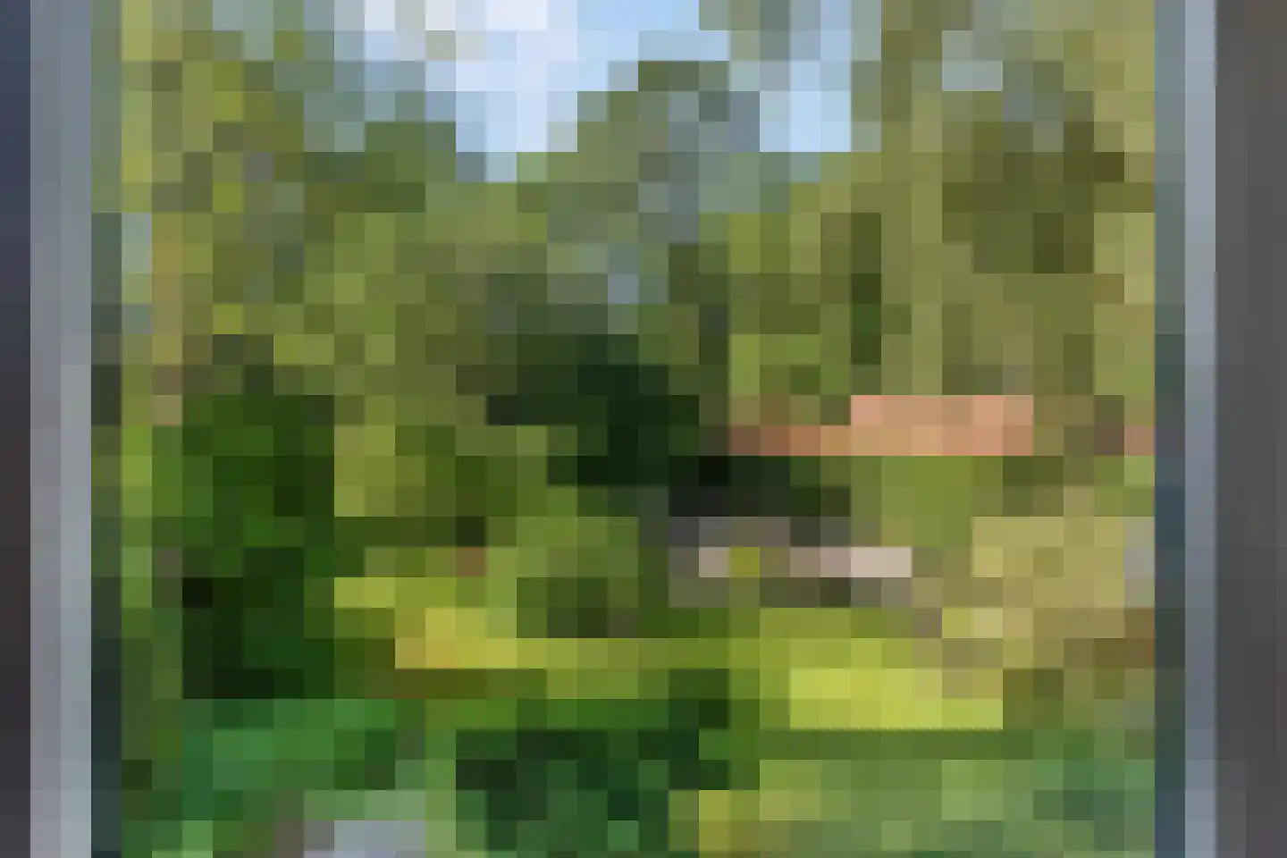 Cuneraweg 339 Rhenen thumbnail 50