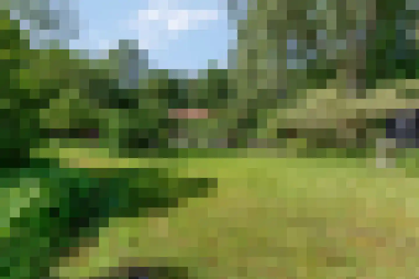 Cuneraweg 339 Rhenen thumbnail 51