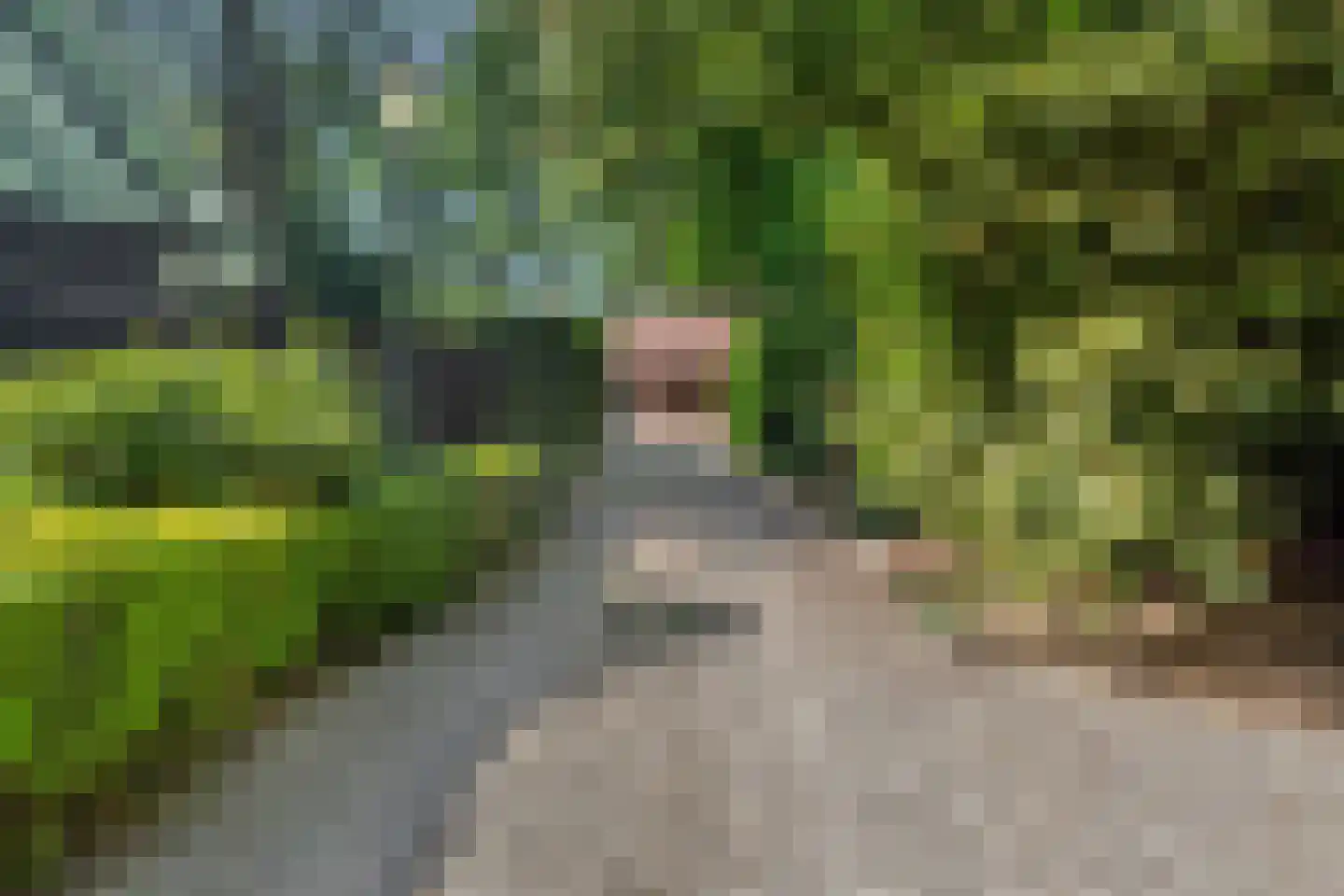 Cuneraweg 339 Rhenen thumbnail 52