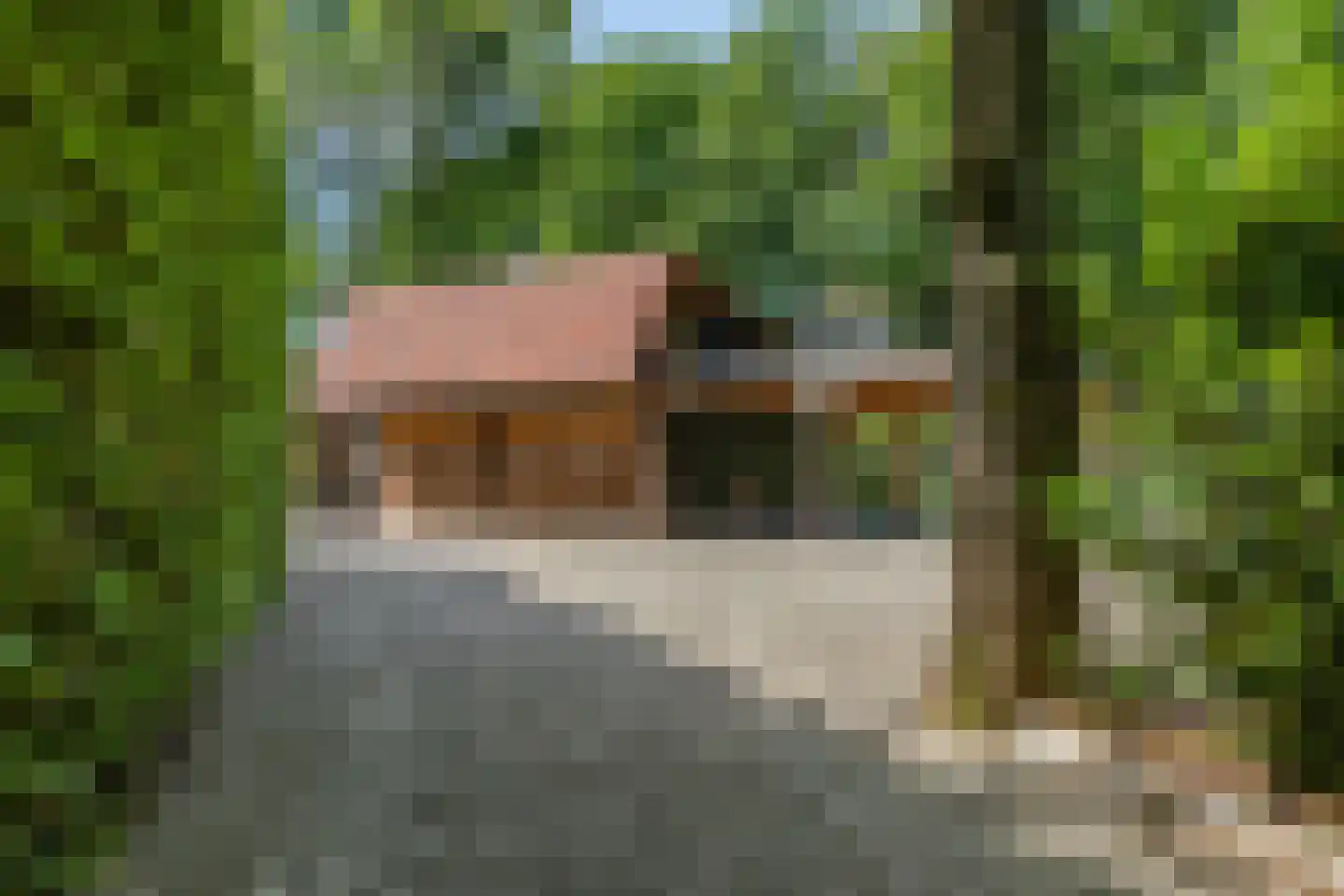 Cuneraweg 339 Rhenen thumbnail 53