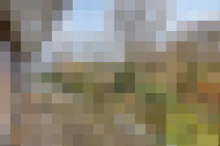 Cuneraweg 353 Rhenen thumbnail 24