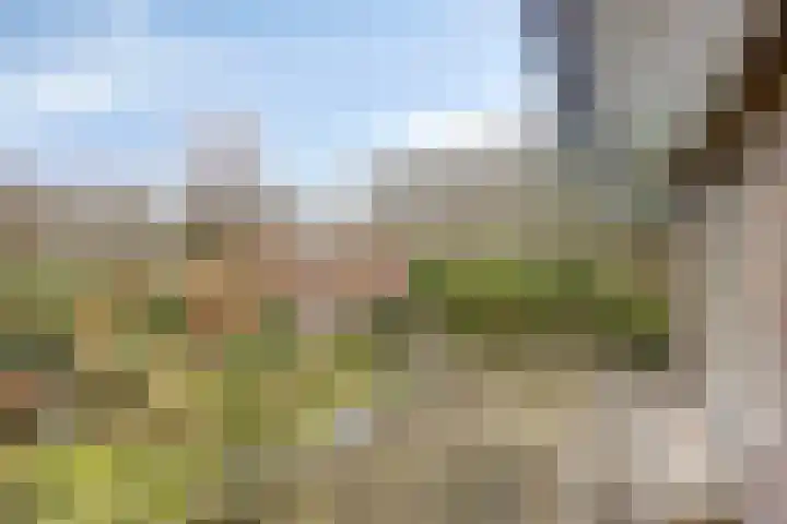 Cuneraweg 353 Rhenen thumbnail 25