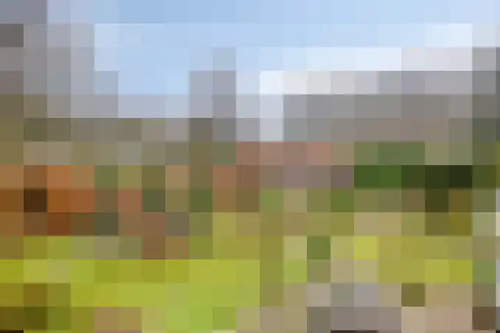 Cuneraweg 353 Rhenen thumbnail 26