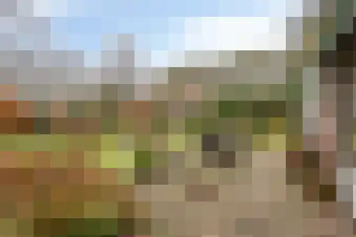 Cuneraweg 353 Rhenen thumbnail 38