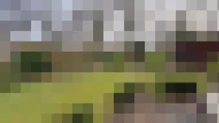 Cuneraweg 353 Rhenen thumbnail 49
