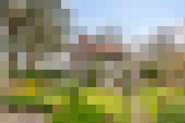 Cuneraweg 353 Rhenen thumbnail 50