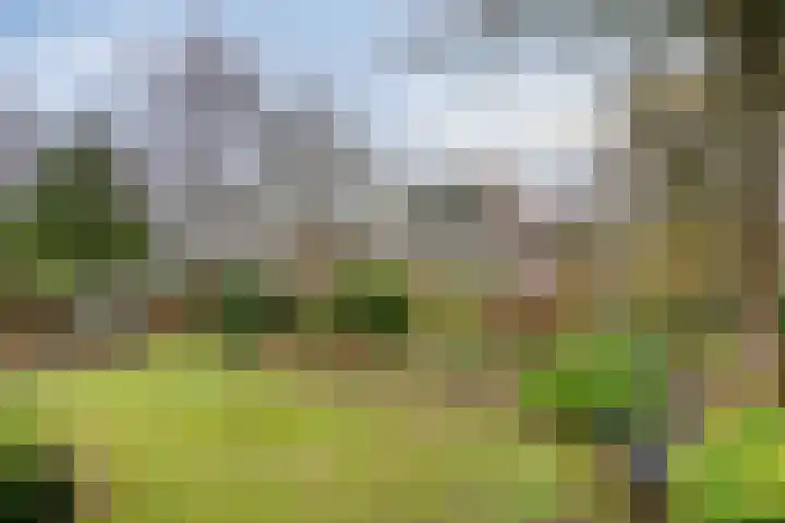 Cuneraweg 353 Rhenen thumbnail 51