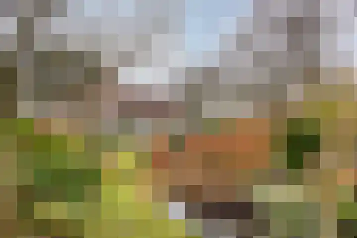 Cuneraweg 353 Rhenen thumbnail 52