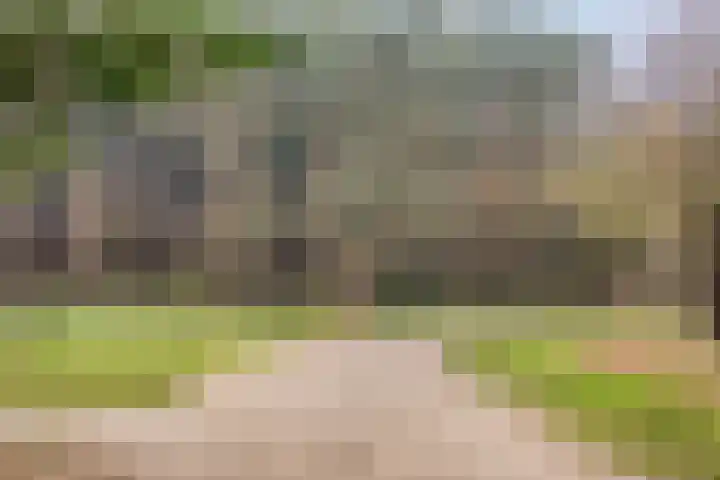 Cuneraweg 353 Rhenen thumbnail 53