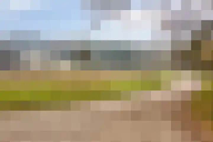 Cuneraweg 353 Rhenen thumbnail 54