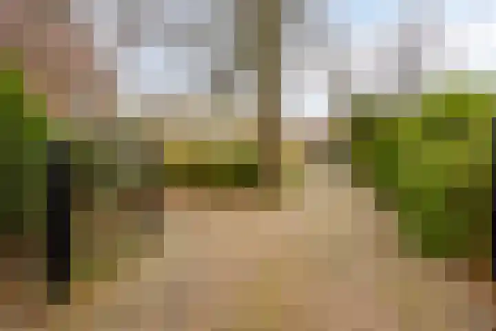 Cuneraweg 353 Rhenen thumbnail 6
