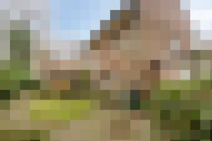 Cuneraweg 353 Rhenen thumbnail 7