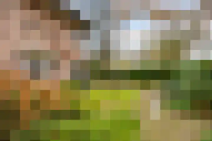 Cuneraweg 353 Rhenen thumbnail 8