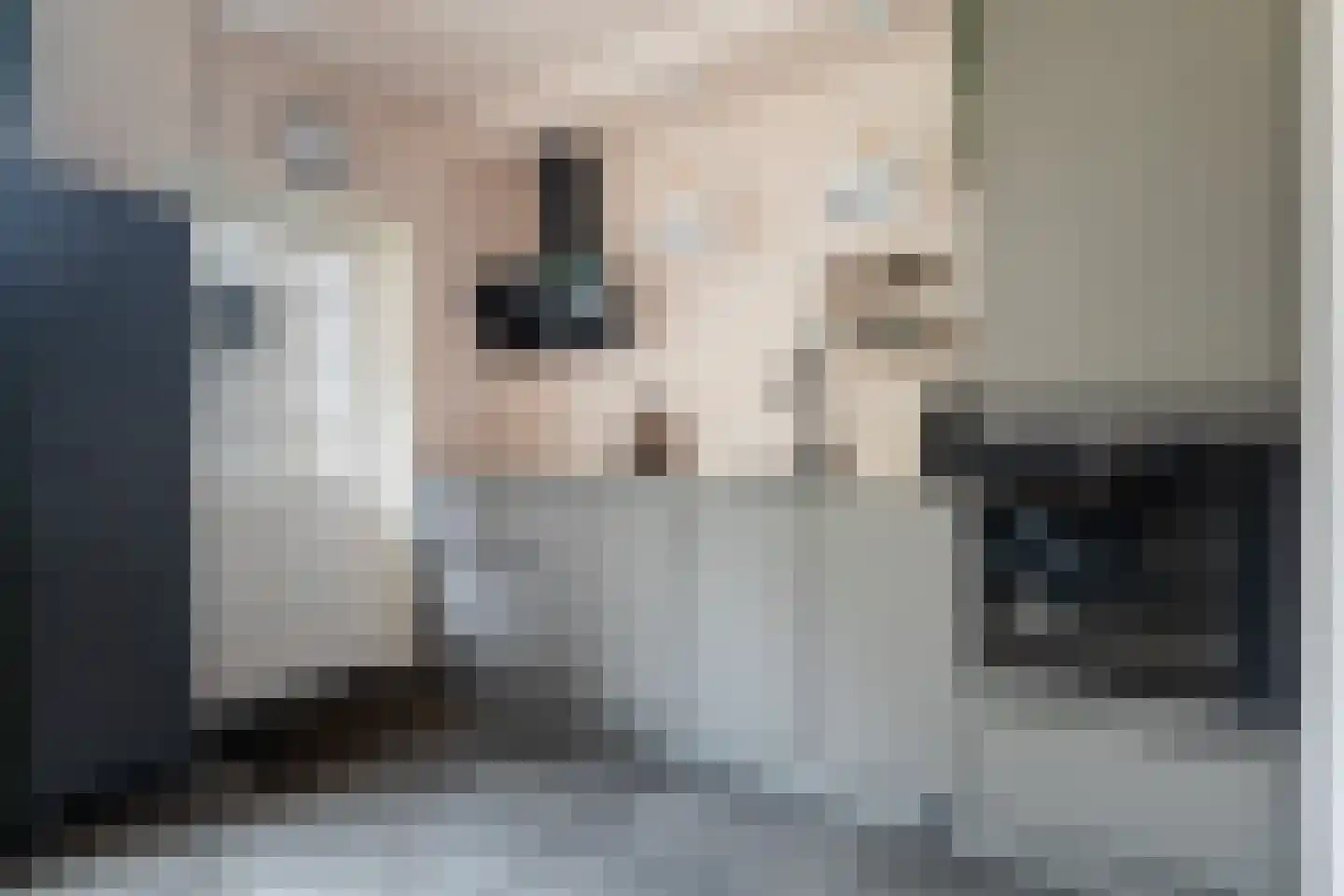 Cuperusstrjitte 11 Lekkum thumbnail 12