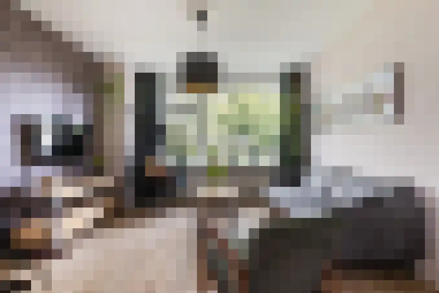 Cuperusstrjitte 11 Lekkum thumbnail 5