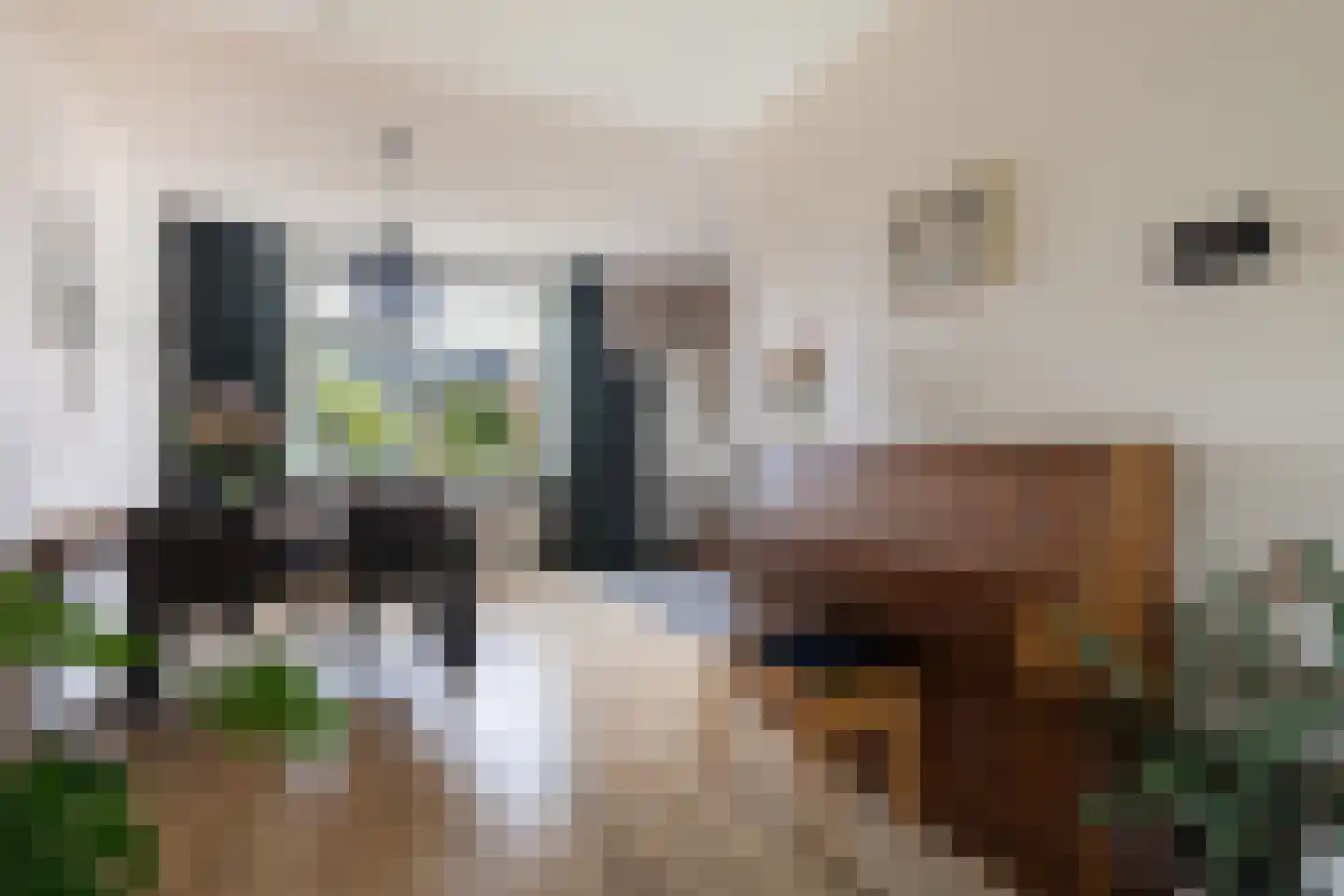 Cuperusstrjitte 11 Lekkum thumbnail 8