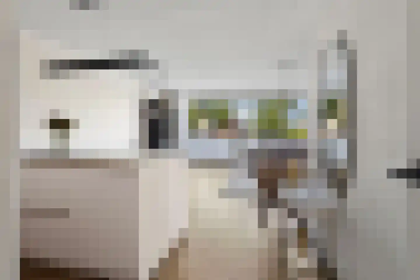 Cupidohof 2 Almere thumbnail 13