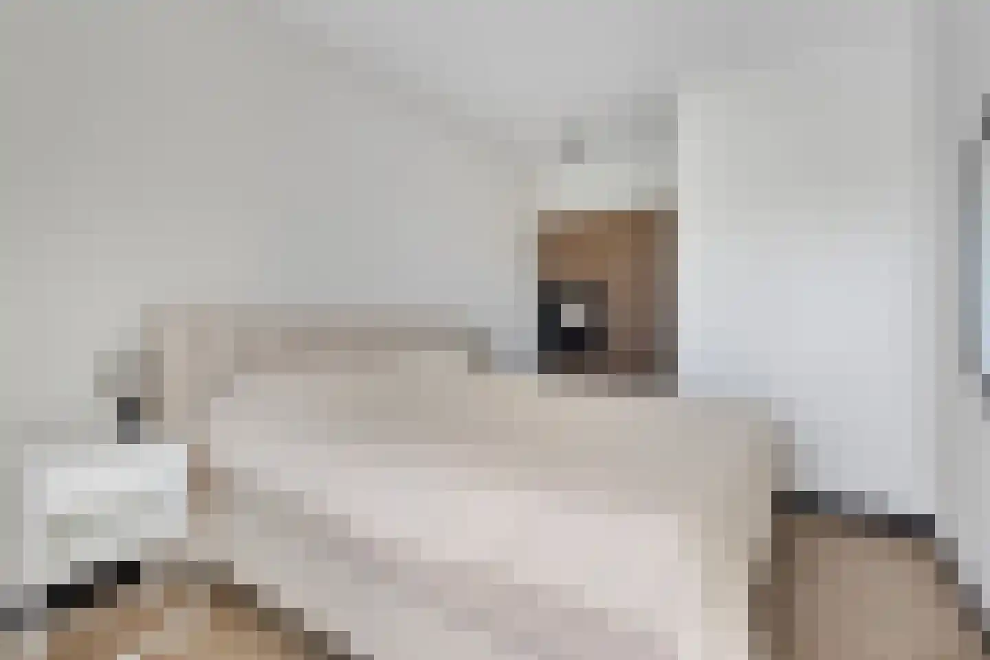 Cupidohof 2 Almere thumbnail 27