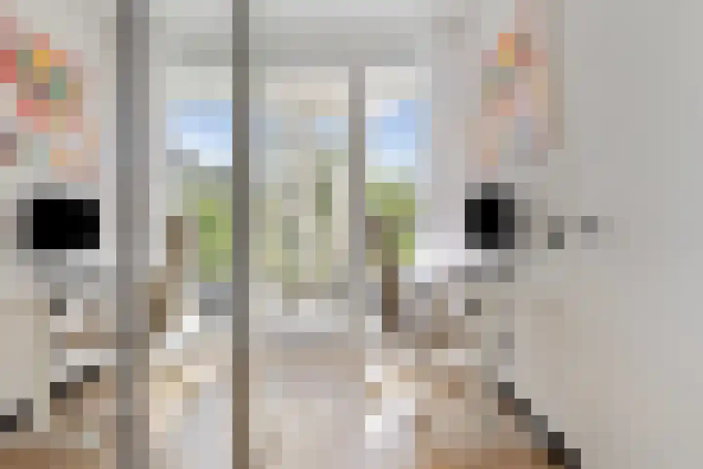 Cupidohof 2 Almere thumbnail 33