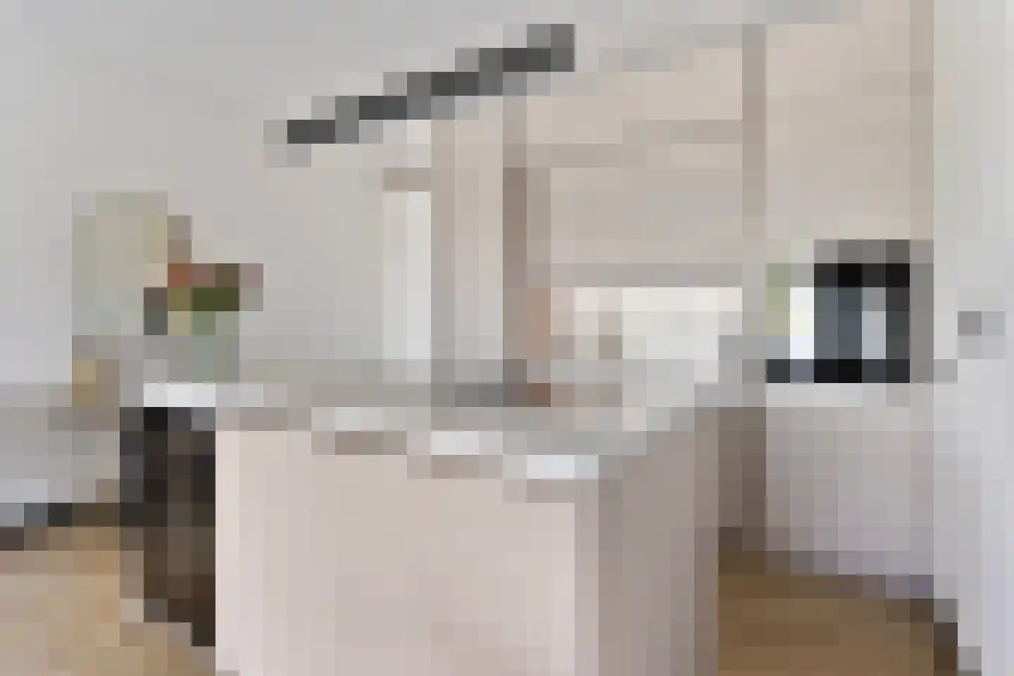 Cupidohof 2 Almere thumbnail 4