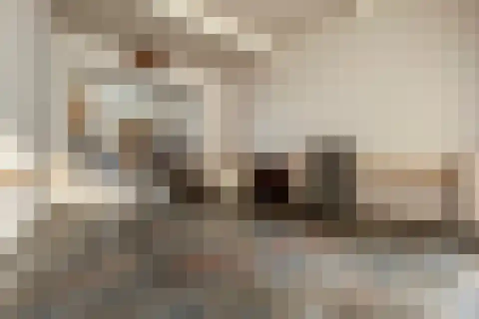 Cupidohof 3700 Tongeren-Borgloon Maastricht thumbnail 10
