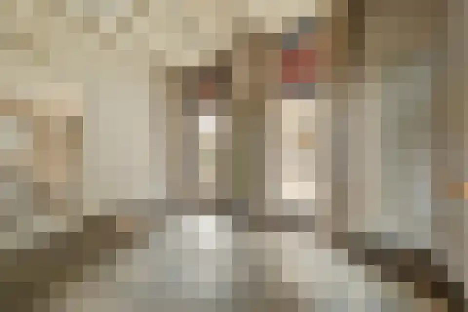 Cupidohof 3700 Tongeren-Borgloon Maastricht thumbnail 13