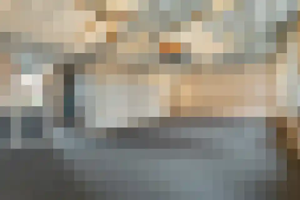 Cupidohof 3700 Tongeren-Borgloon Maastricht thumbnail 16