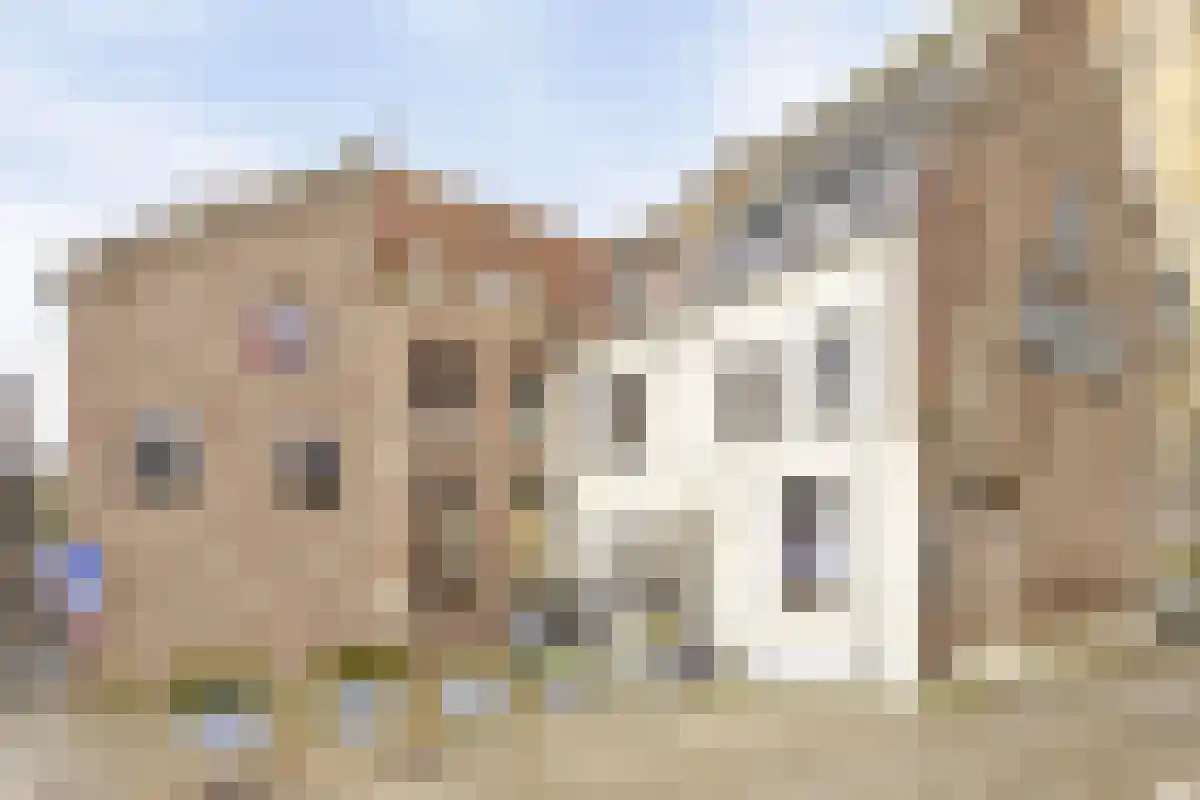 Cupidohof 3700 Tongeren-Borgloon Maastricht foto 2
