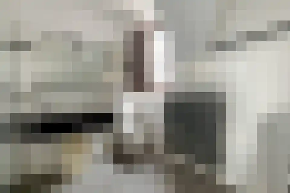 Cupidohof 3700 Tongeren-Borgloon Maastricht thumbnail 27
