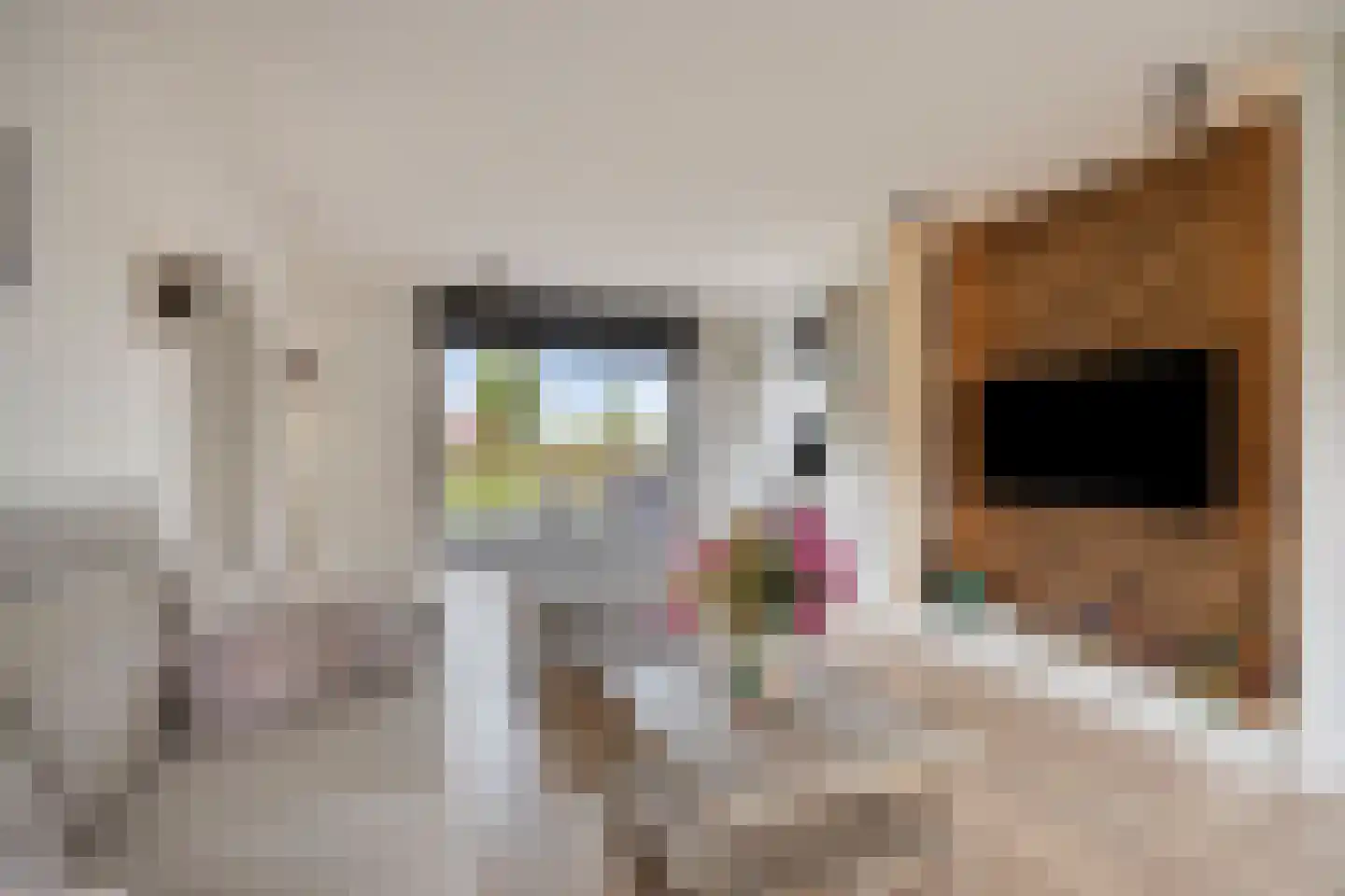 Cupidohof 4 Maastricht thumbnail 13