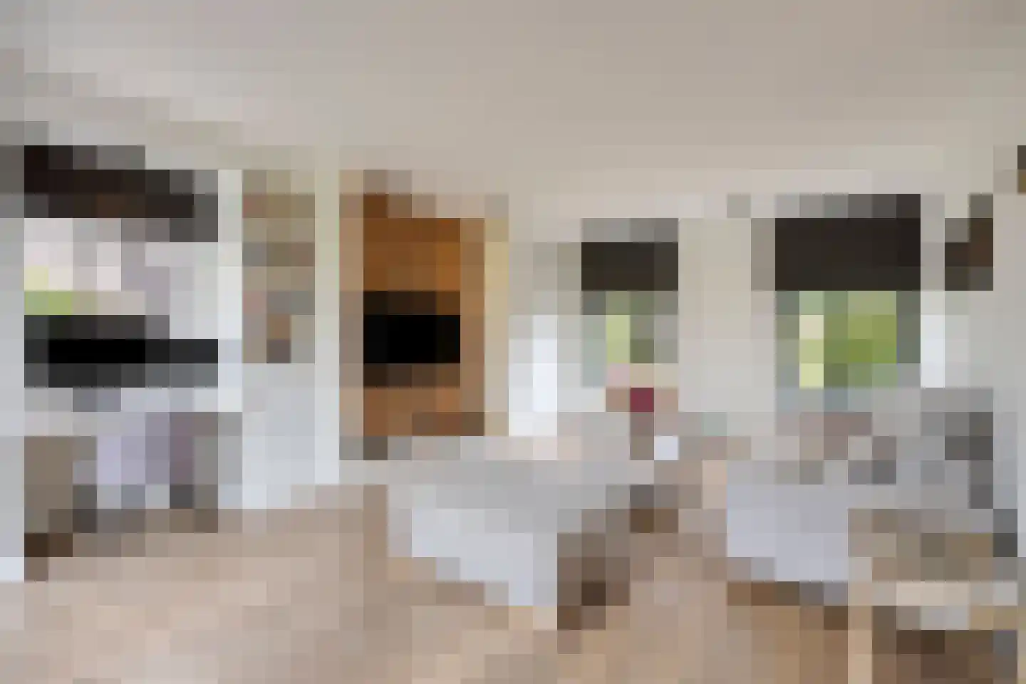 Cupidohof 4 Maastricht thumbnail 14
