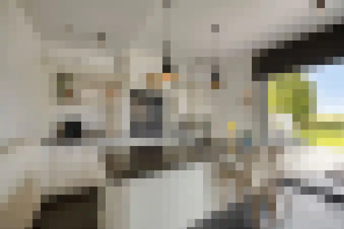 Cupidohof 4 Maastricht thumbnail 15